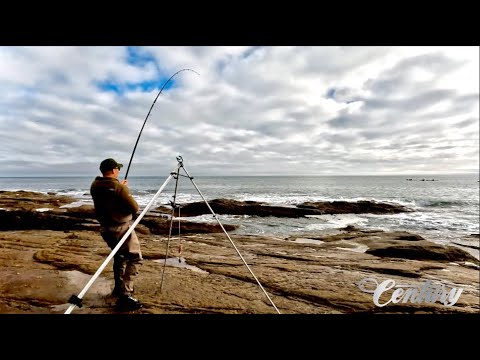 Видео: Ловля трески на суровых грунтах на северо-востоке | Рыбалка на тяжёлую твердую почву на севере! |...