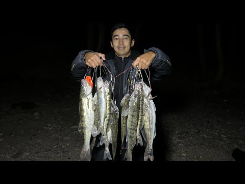 Видео: МЁРТВЫЕ ДАЧИ РЫБАЛКА!ЖОР СУДАКА,КЛЮЁТ КАК С ПУЛЕМЁТА!