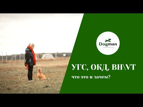Видео: УГС, ОКД, BH-VT - что это, для кого и зачем?