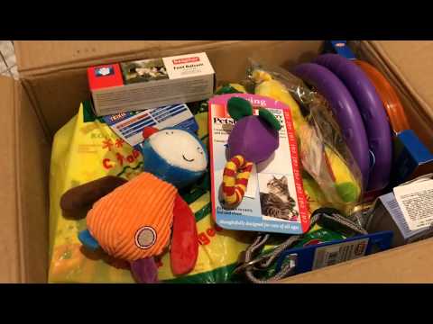 Видео: DogVlog: отправляем посылку, новые комбинезоны для йоркширского терьера