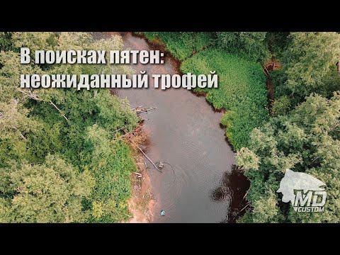 Видео: В поисках пятен: неожиданный трофей