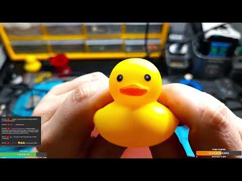 Видео: Laptopia будет live. Стрим и точка 