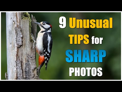 Видео: ПОЭТОМУ ВАШИ ПТИЦЫ И ФОТОГРАФИИ ДИКОЙ ЖИВОТНОЙ НЕ РЕЗКИ.