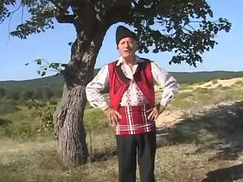 Видео: Георги Димов - Влягнала Гинка