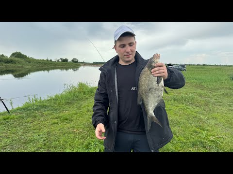 Видео: Рыбалка на Припяти. Клюнул лещ. Вкусная еда, красивая природа.