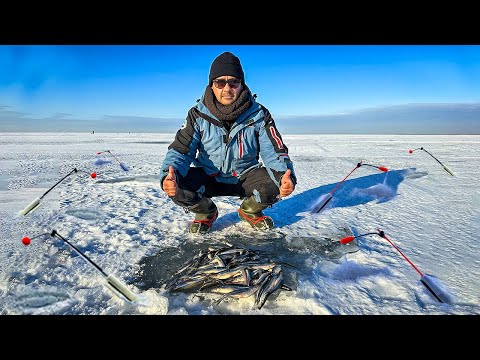 Видео: УШЕЛ ЗА 100! Ловля корюшки на Финском заливе | Зимняя рыбалка