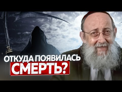 Видео: Откуда появилась смерть? Рав Ашер Кушнир