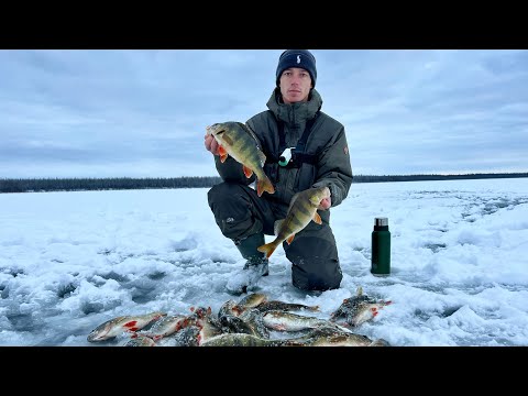Видео: КРУПНЯК НЕ ДАЁТ ОПУСТИТЬ! ТАКОЕ ТОЛЬКО ЗДЕСЬ! Первый лёд 2022-2023. Якутия.
