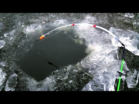 Видео: В ЭТИХ ЛОЖБИНКАХ ЗИМУЮТ ЗДОРОВЫЕ КАРПЫ И МОРДАТЫЕ КАРАСИ.Ловля карася в январе 2023