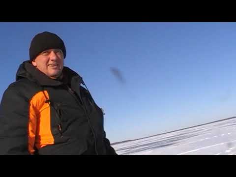 Видео: На Освейском озере в конце марта.