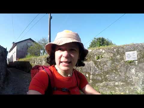 Видео: 4-й день Португальского пути Сантьяго | от Viana do Castelo до Vila Praia de Ancora