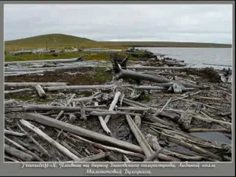 Видео: Видео- Фото ТИКСИ и окрестности