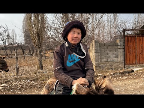 Видео: Кара-Кулжа району Сары-Камыш айылы