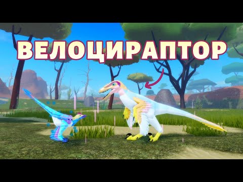 Видео: ВЕЛОЦИРАПТОР 🦴🐤 Новая Птица в Семья Птиц Роблокс #featherfamily #семьяптиц #роблокс