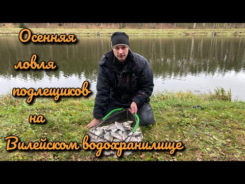 Видео: Осенняя ловля подлещина на Вилейском водохранилище. Поклёвки просто кайф.