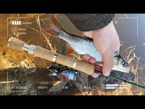 Видео: Кайфую от ловли с SMITH FIELDREAM FLD—59 UL. Весенний мормышинг в половодье.