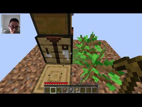 Видео: Създадохме си свят на One block