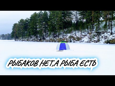 Видео: Ушёл в Самую Ж.пу. Поставил Жерлицы,а Щука на Мормышку Клевала.В Ночи Блуждал.Но КАЙФАНУЛ по ПОЛНОЙ.