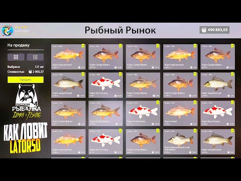 Видео: Русская рыбалка 4. 🎣 оз. Медное 🐋🐋🐋...💦 КАК ЛОВИТ LATORSO 👀