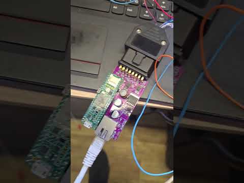 Видео: 25 июля 2025 г.