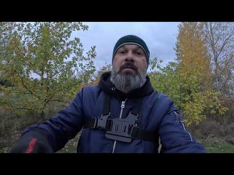 Видео: ПРОГУЛЯНКА З ОЛІВІЯМИ ....ДЕЯКІ ВИСНОВКИ..