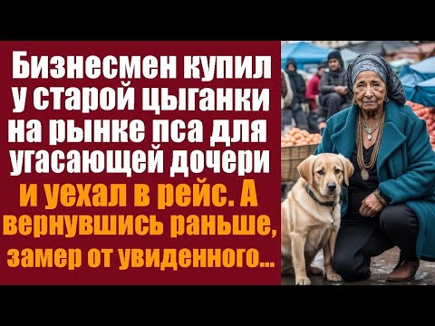 Видео: Бизнесмен купил у старой цыганки на рынке пса для угасающей дочери и уехал в рейс  А вернувшись