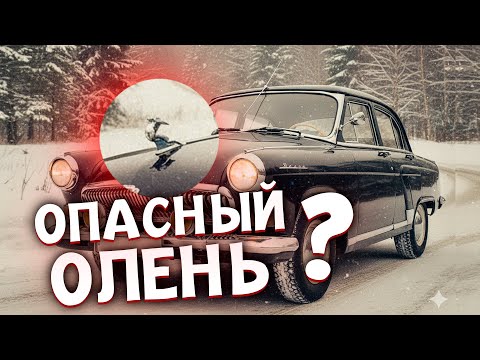 Видео: Чем ОЛЕНЬ на капоте Волги был ОПАСЕН для людей?