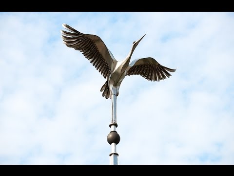 Видео: Наш Висагинас