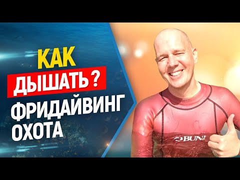 Видео: 🙇Дыхание во фридайвинге и подводной охоте