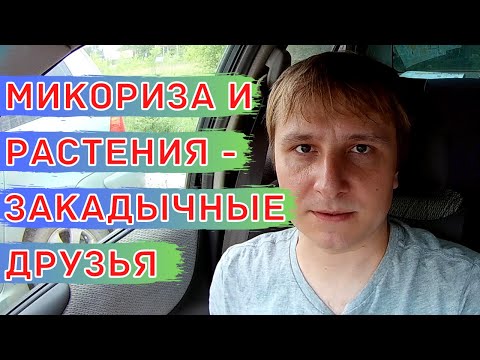 Видео: Микориза. Польза и применение препаратов с микоризой.