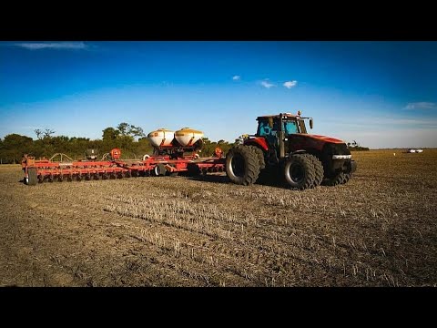 Видео: Сеялка Crucianelli Planter