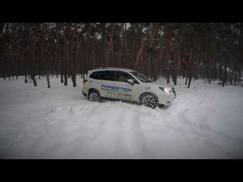 Видео: Тест драйв Subaru Forester 2017. Обзор Subaru Forester - лесник на раллийном допе! Обзор от DreamCar