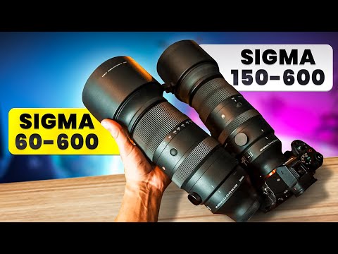 Видео: Sigma 60-600 мм против 150-600 мм: что стоит выбрать? | Фотография дикой природы