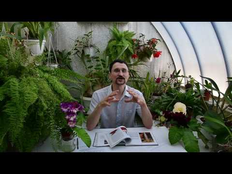 Видео: Влагоемкость и аэрируемость субстрата. Дыхание корней.