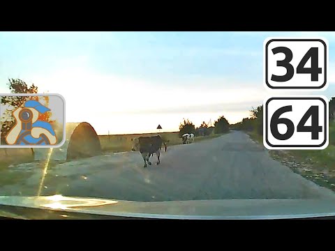 Видео: [ Палласовка - ✕ Гмелинка - ✕ Старая Полтавка - ✕ Ровное ]