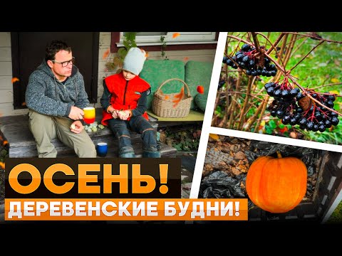 Видео: Деревенские будни осень: Готовимся к зиме и строим планы!