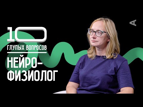 Видео: 10 глупых вопросов НЕЙРОФИЗИОЛОГУ