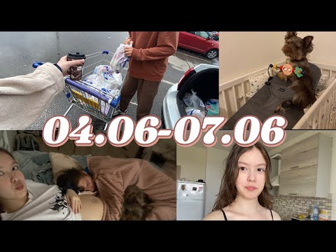 Видео: ВЛОГ//КУПИЛИ КРОВАТЬ//ОБУСТРАИВАЕМ КВАРТИРУ