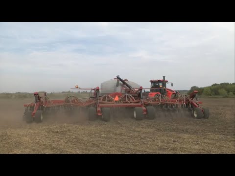 Видео: Закладываем новый урожай 🧑‍🌾🌾