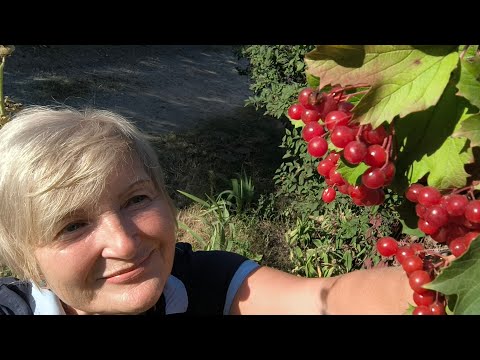 Видео: САМОЕ СЛУЧАЙНОЕ ВИДЕО САМОЕ НЕСЛУЧАЙНОЕ❗О Правде С Юмором 😀
