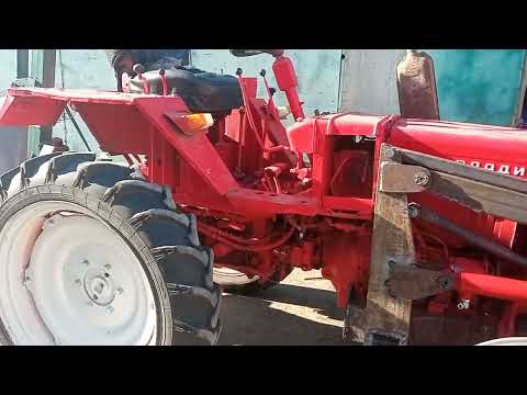 Видео: кун на т 25...