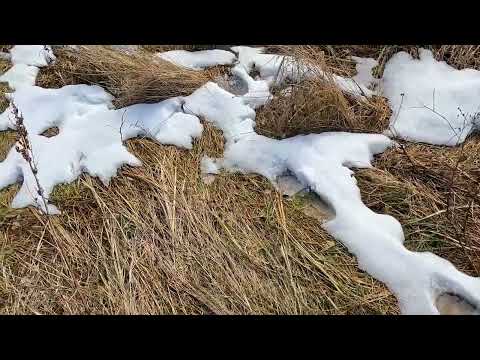 Видео: Зимний РСК "Кужора"