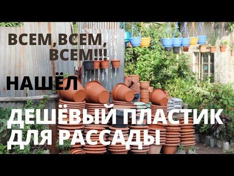 Видео: Дешёвый пластик для рассады