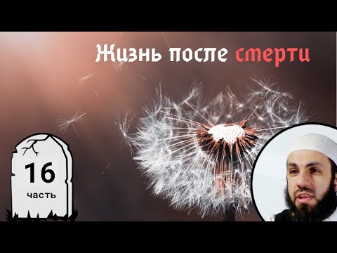 Видео: Из Ада в Рай. 16-я часть. Жизнь после смерти | Билял Асад (rus sub)