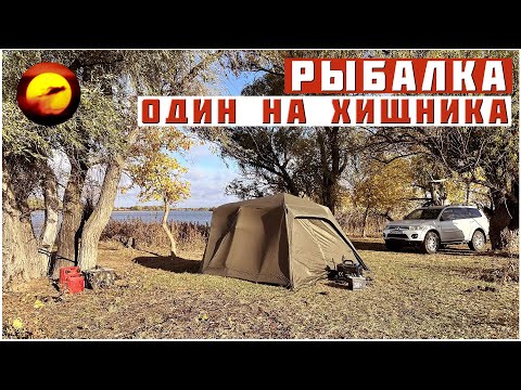 Видео: ЗАПРЕТ ЩУКИ! ОДИН НА ХИЩНИКА / Рыбалка, Горячее Копчение и Шикарный Отдых
