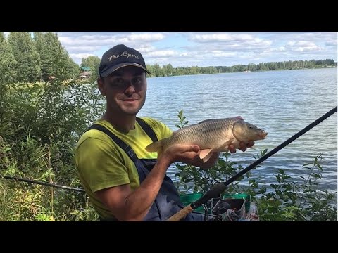 Видео: Ловля карпа.  Клинский Рыбхоз.