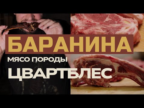Видео: Мясо породы цвартблес. Жарим баранину за 150 000 рублей.