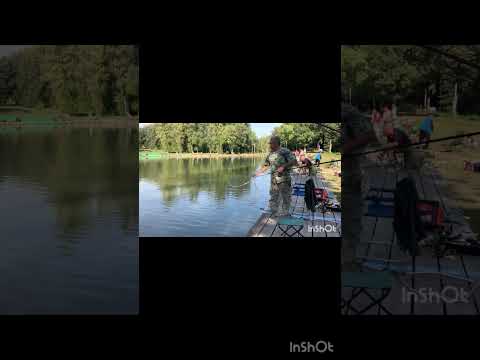 Видео: Открыли сезон форели!!!#рыбалка #форель#fishing #troutfish