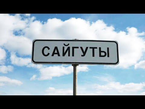 Видео: Сайгуты. Иркутская область