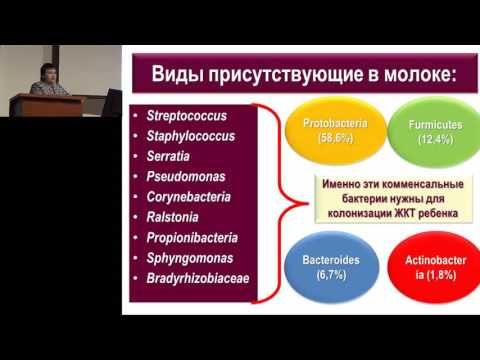 Видео: 18.02.2017 - Мифы и правда о восстановлении микробиоты
